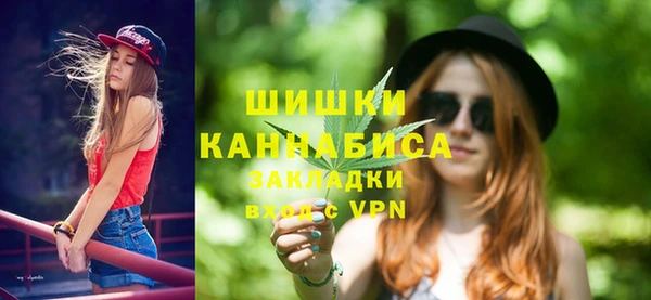 бошки Алексин