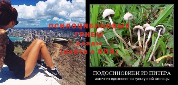 бошки Алексин