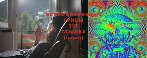 эйфоретик Алексеевка