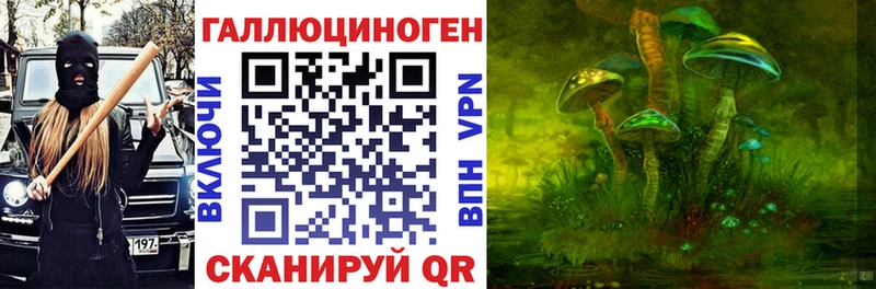 Галлюциногенные грибы прущие грибы  Бологое 