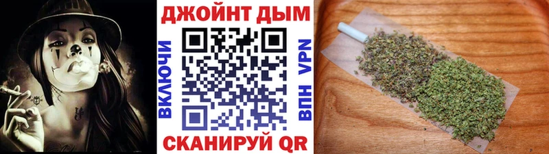 Канабис сатива  Бологое 